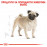 Суха храна за кучета Royal Canin PUG ADULT 1,5кг.