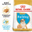 Суха храна за кучета Royal Canin BULLDOG PUPPY