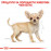 Суха храна за кучета Royal Canin CHIHUAHUA JUNIOR  