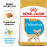 Суха храна за кучета Royal Canin CHIHUAHUA JUNIOR  