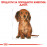 Суха храна за кучета Royal Canin BREED DACHSHUND JUNIOR 1,5кг.