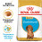 Суха храна за кучета Royal Canin BREED DACHSHUND JUNIOR 1,5кг.