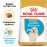 Суха храна за кучета  Royal Canin GOLDEN RETRIEVER JUNIOR 