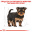Суха храна за кучета Royal Canin YORKSHIRE TERRIER JUNIOR 