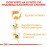 Пауч Royal Canin Chihuahua Adult 85 гр. - специално създадена за Чихуахуа над 8 месеца