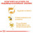 Пауч Royal Canin Yorkshire Terrier Adult 85 гр. -  специално за порода Йоркширски териер, над 10 месеца