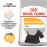 Суха храна за кучета Royal Canin MINI DERMACOMFORT