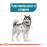 Суха храна за кучета Royal Canin MAXI Joint and Coat Care - за по-здрави кости и стави