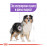 Суха храна за кучета Royal Canin MEDIUM STERILISED ADULT