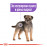 Суха храна за кучета Royal Canin MINI STERILISED ADULT