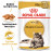Пауч Royal Canin Maine Coon Pouch - специално създаден за котки, порода мейн куун