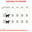 Суха храна за котки Royal Canin DIGESTIVE CARE 