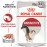 Пауч Royal Canin Instictive In Loaf 85 гр. - здравословна храна за котки, пастет със специален сос