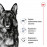 Суха храна за кучета Royal Canin MAXI ADULT 