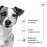 Royal Canin Mini Ageing +12 - суха храна за кучета от дребни породи над 12 г./1,5 кг.