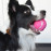 Забавна тенис топка Flamingo Tennis ball за куче