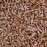 Пълноценна, 100% натурална храна за костенурки Flamingo GAMMARUS NATURAL FOOD със сушени скариди и ракообразни 250 мл.