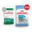 Суха храна за кучета Royal Canin MINI PUPPY JUNIOR