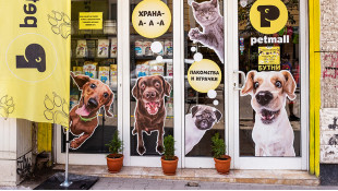 PetMall Раковска 68
